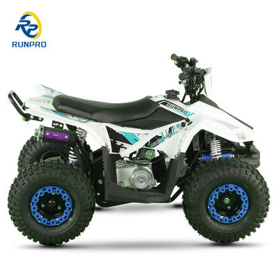 540MM Sitzhöhe Sportliches ATV Quad Bike 70CC 110CC Gasbetriebene 2WD 12V Spannungsmodelle