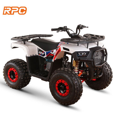 110cc 125cc 150cc 4-Takt-Gas-betrieben Kinder Quad Bike ATV für automatisches Getriebe