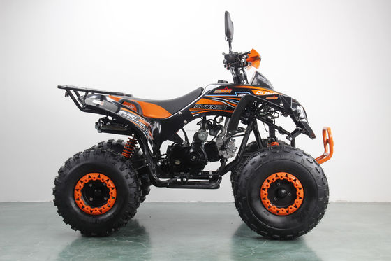 125CC 4-Takt ATV Kindermotorrad mit 8-Zoll-Reifen und CE Geländefahrzeug
