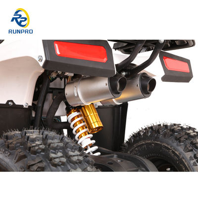 110cc Sirus 125cc ATV Quad Bike mit Nutzlastkapazität 100-200kg RUNPRO Professional 2024