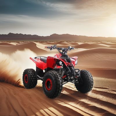 Elektrische Kinder ATV CE-zertifiziertes Quad Bike mit 1500W Motor und 48V12AH Blei-Säure-Batterie