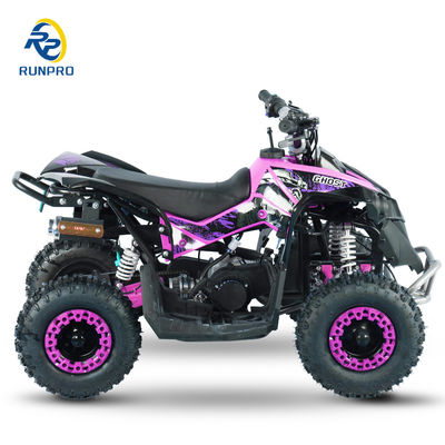 Kinder Elektrische ATVs 49cc 50cc 4-Rad Benzin Mini ATV mit handbetriebenem Kunststoff