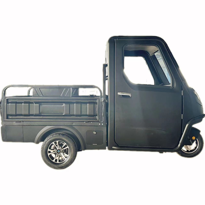 Optional 1000/1200/2000/3000W Elektro-Dreifahrräder für Familie-3-Rad-E-Bike und Pedicab