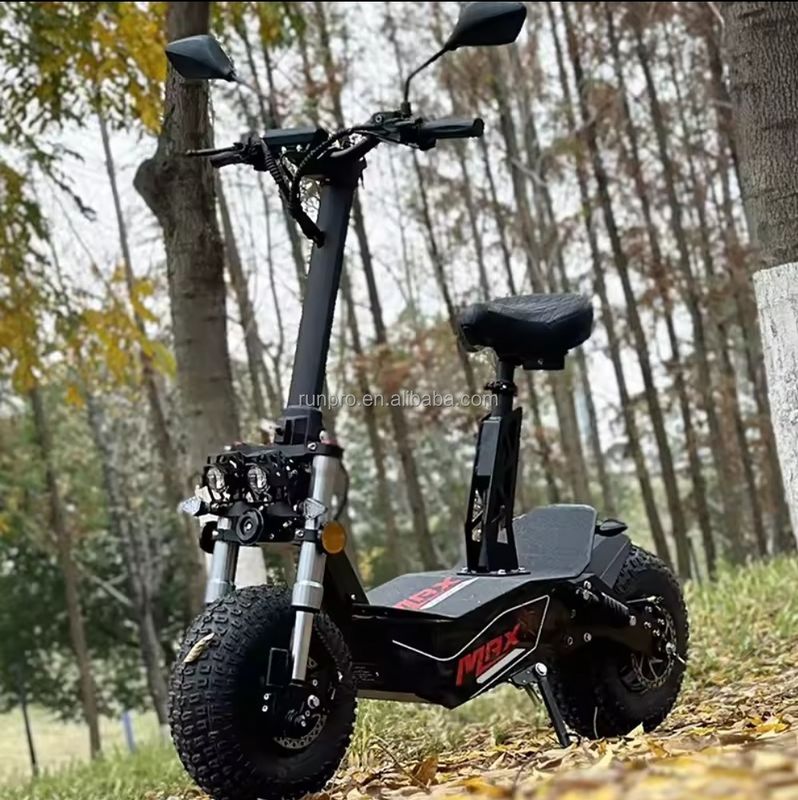 Offroad 2000W 3000W Mobilität Elektroroller COC EWG Bürstenloser Motor 10 Zoll Hub Motor Elektroroller Motorrad mit CE