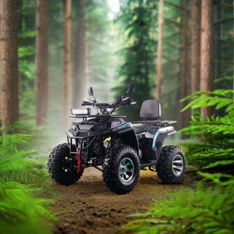 200CC ATV 250CC ATV Erwachsener ATV Quad Bike mit Kettenantrieb und 1000W elektrischem Pull Start