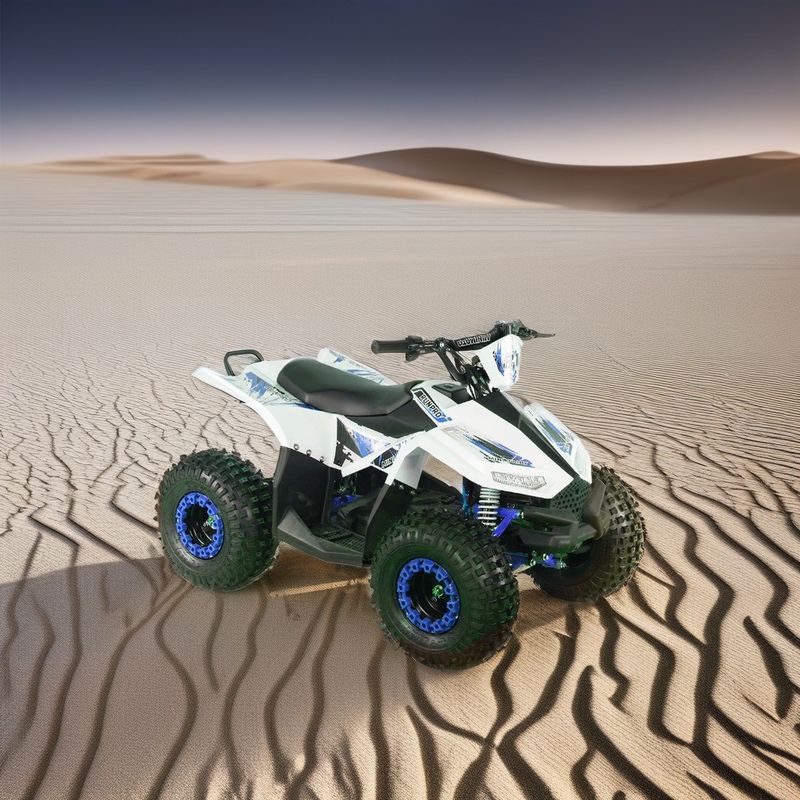 2024 Jugendliche 4x4 1000W 48V 1200W Elektrische Welle angetriebenes Quad Bike Elektrische Quad ATV