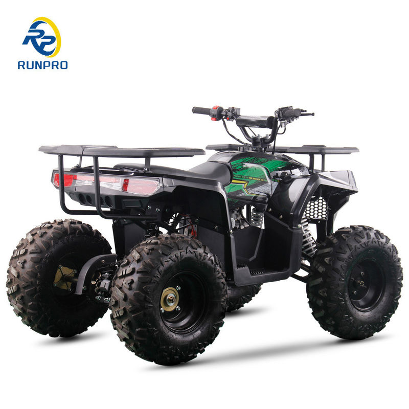 2WD All-Terrain Doppel-Vierräder Strand Buggy mit 100-200kg Nutzlastkapazität perfekt