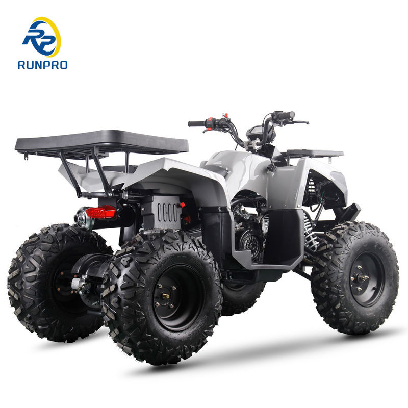 Gas/Diesel Strand Buggy Kettenantrieb Vierräder Viertakt Quad Bike 200cc/300cc für Erwachsene