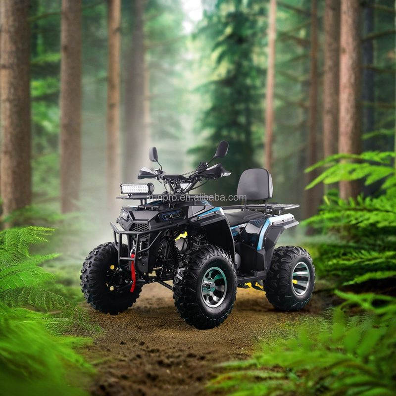 200cc 4-Takt 4-Rad-Renn-Quad-Bike Off-Road GY6 4*4 ATVs mit Kettenantrieb