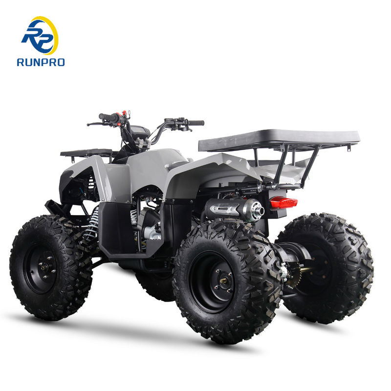 200cc 10 Zoll Stahlrad 2WD ATV Off-Road Vierräder Motorrad UTV Farm Motor Quad Bike