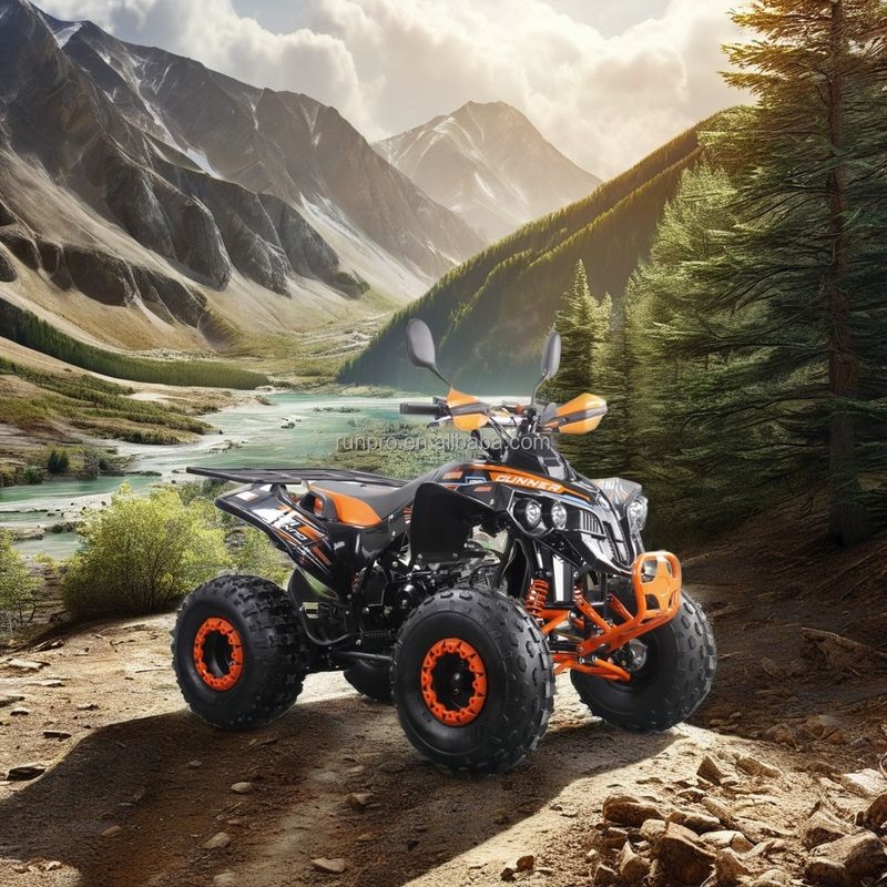 2024 Direct 125CC 2WD ATVs Automatisches Getriebe Achsantrieb 4-Takt Quad Bike Treibstoffgas