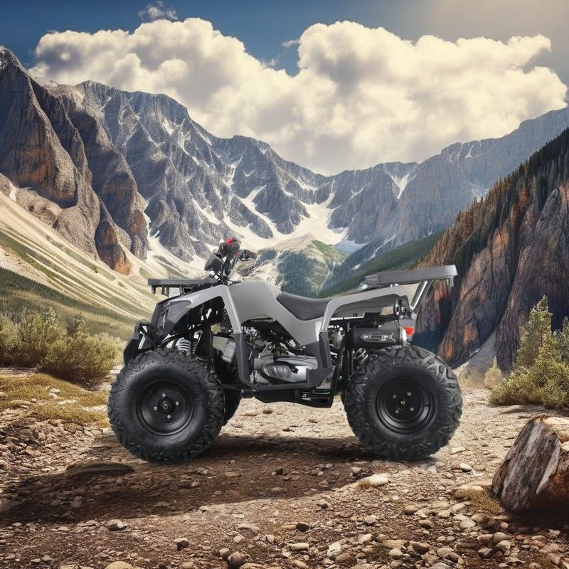Offroad 10-Zoll-Reifen 200CC 250CC Erwachsener Quad ATV mit automatischem Start und Kettenantrieb