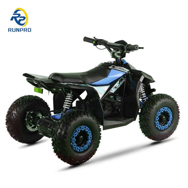 2024 Elektrische Off-Road ATV Quad Bike für Freizeit im Freien mit Differenzialschloss