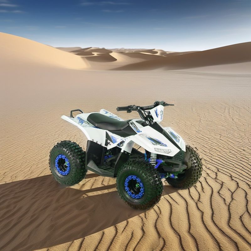 48V12AH Blei-Säure-Batterie RUNPRO 1200W Wellenantrieb Motor Elektrisch 4-Rad-ATV für Landwirtschaft